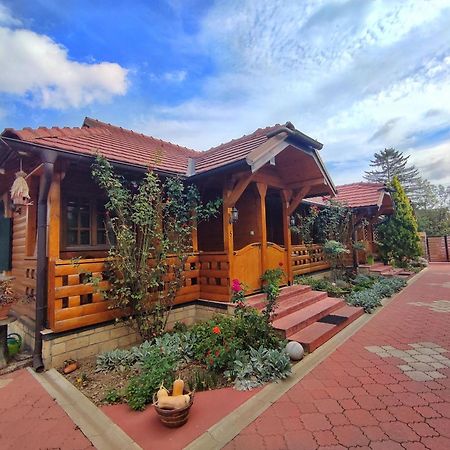 Eko Apartmani Backi Petrovac Εξωτερικό φωτογραφία