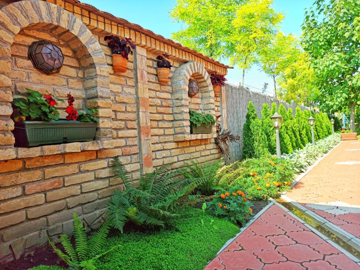 Eko Apartmani Backi Petrovac Εξωτερικό φωτογραφία