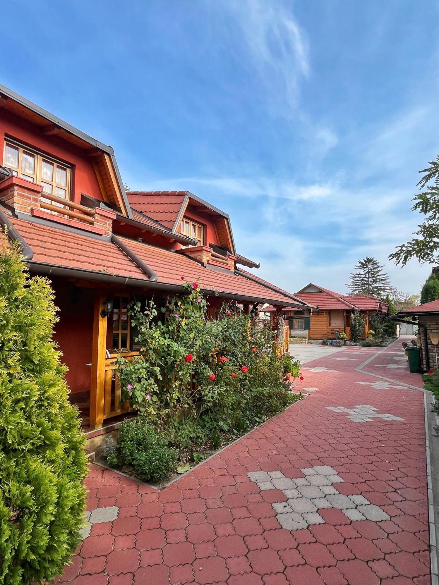 Eko Apartmani Backi Petrovac Εξωτερικό φωτογραφία
