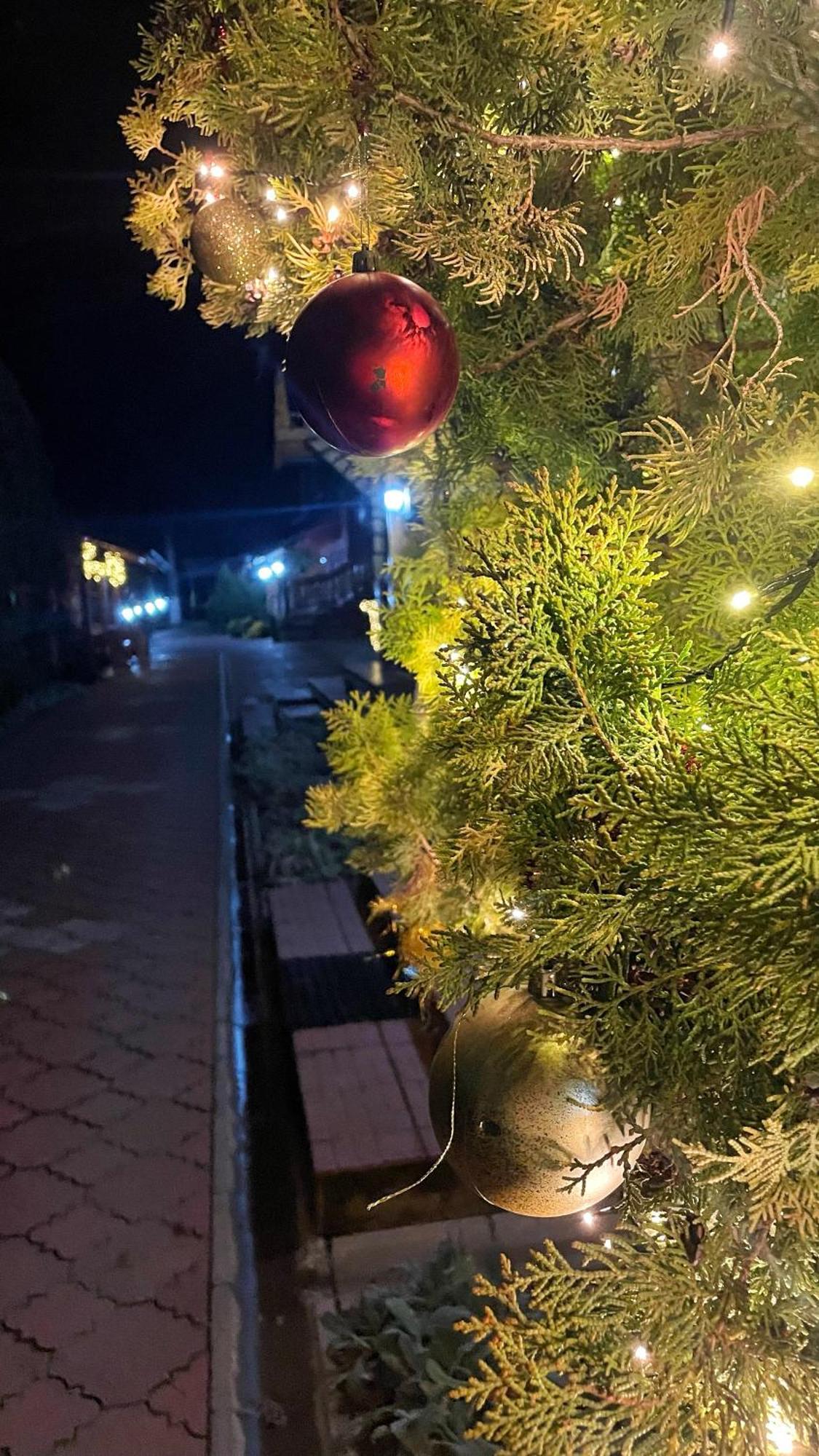 Eko Apartmani Backi Petrovac Εξωτερικό φωτογραφία