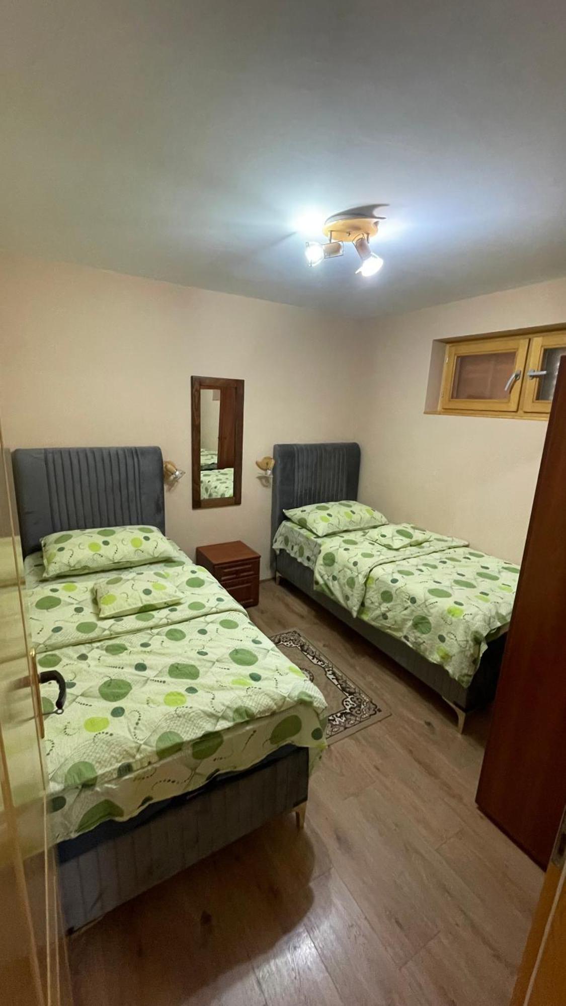 Eko Apartmani Backi Petrovac Εξωτερικό φωτογραφία